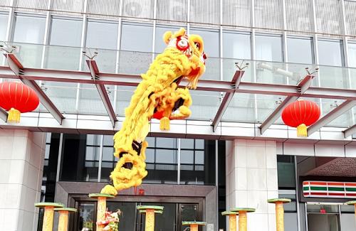 安安国际新春盛启，雄狮之姿展未来！